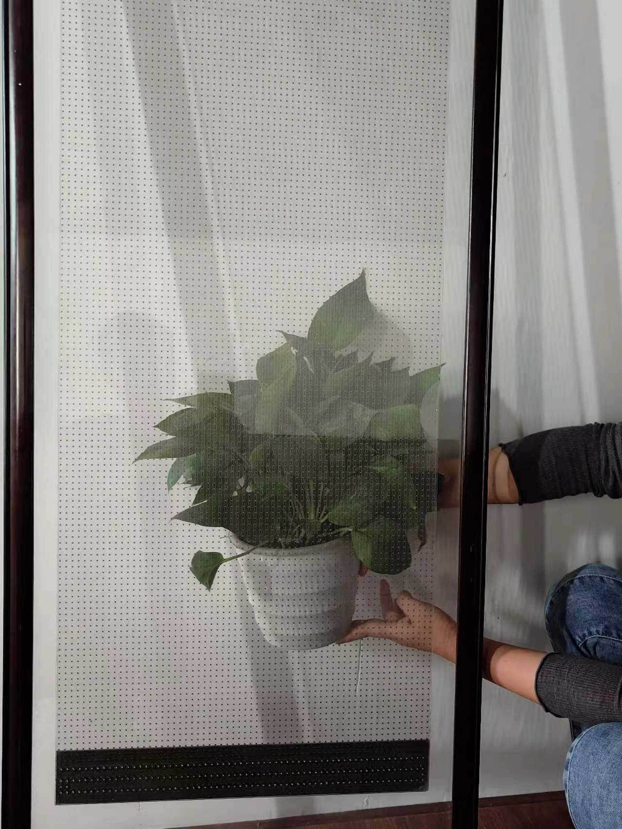 Adhesive Transparent LED film Manufacturer,LED Transparent Film Supplier,Transparent LED Screen Factory,Custom Flexible LED Display Maker